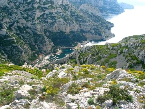 Calanque-de-Morgiou.jpg