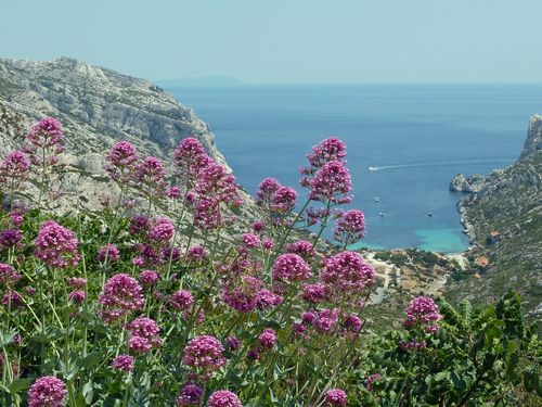 Sormiou vue du haut de la route-2