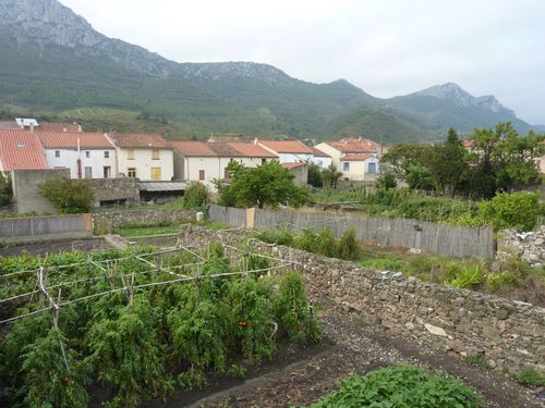 Maury Village