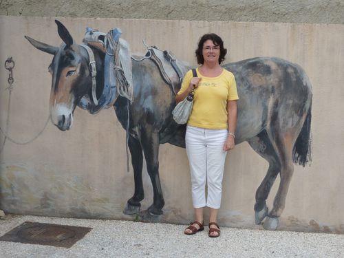 MauryL'âne et moi