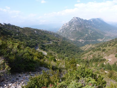 Quéribus La route qui monte au château