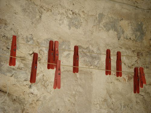 DSCF2597