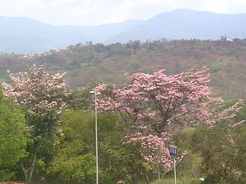 Imagen011