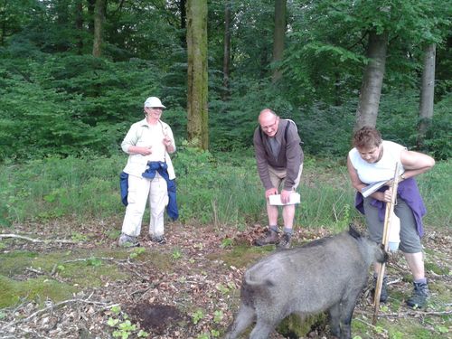 2013-06-15-11.10.07.jpg