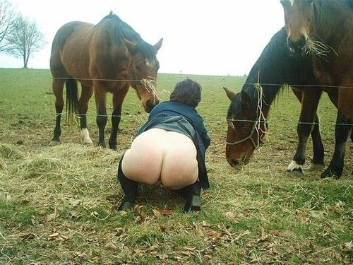 ENCULER UN MINET TRAIN EXHIB Massage gay valence rencontre gay dans le nord
