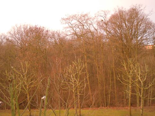 DSCN3168.JPG