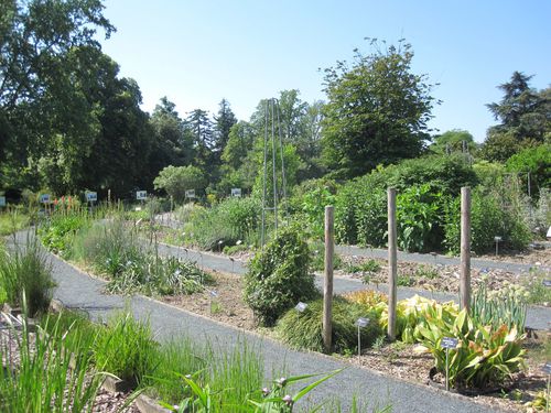 jardin bo 1