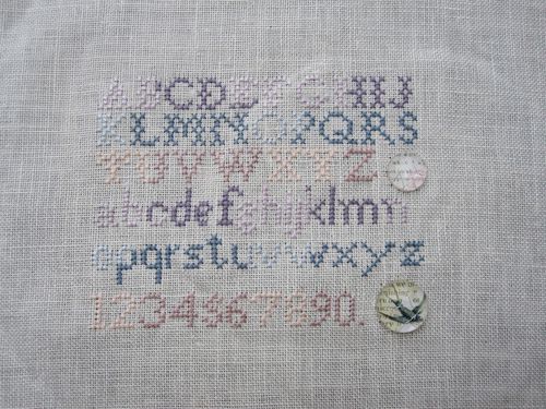 brod oiseau 1