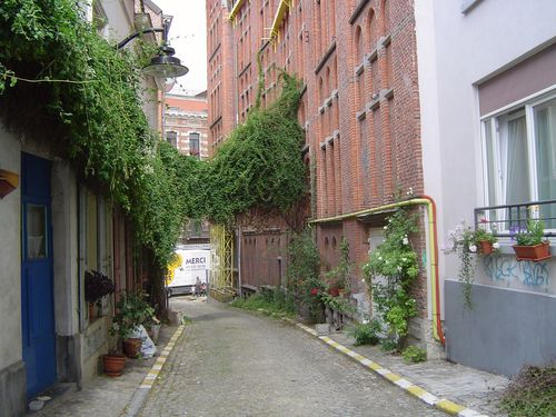 BXL, Ixelles, Rue petite Malibran, Façade en briques, avant travaux