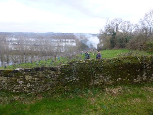 Savennières-joly-allée-cyprès-vue-sur-la-Loire-inondée-hiver1