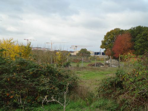 Beaucouzé, paysage champêtre