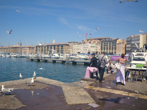 Marseille, Vieux Port, Rose, Bollard