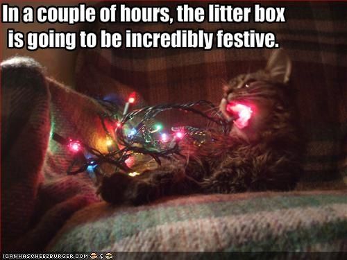 litter box incredibly festive