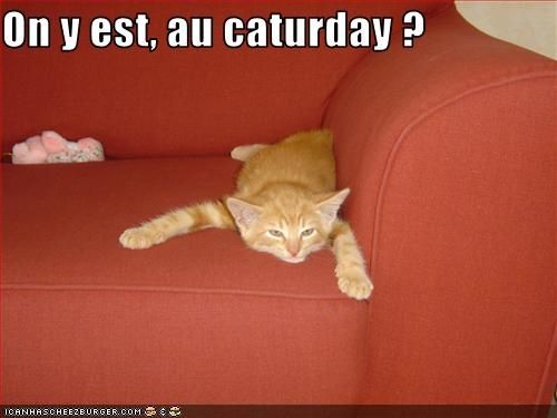 on y est au caturday