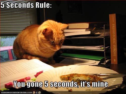 5 seconds rule