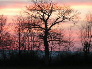 PICT0110.JPG