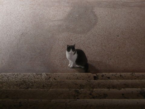 P1110590.JPG