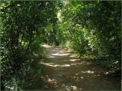 chemin-au-parc-saint-pons-p9250078.jpg