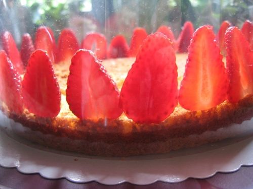 Entremets-fraise-et-ananas---05.jpg