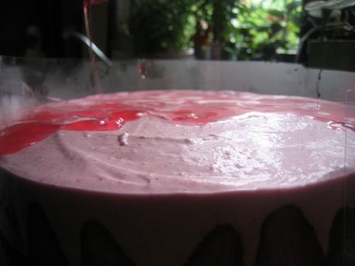 Entremets-fraise-et-ananas---07.jpg