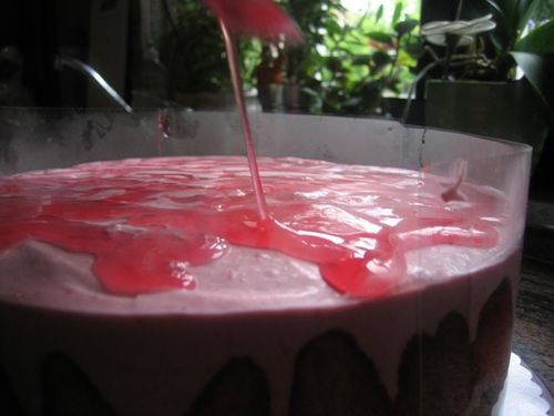 Entremets-fraise-et-ananas---08.jpg