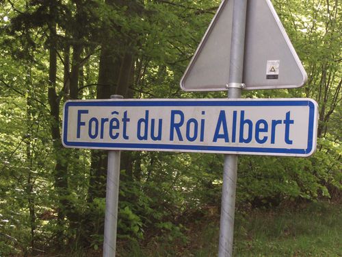 Foret-Roi-Albert.JPG