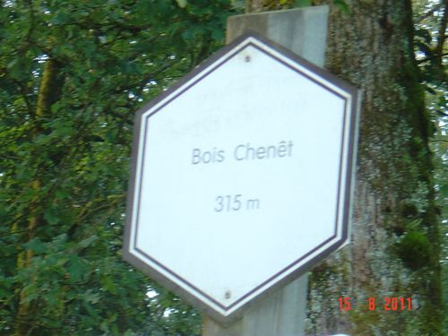 col-du-Bois-Chenet.JPG