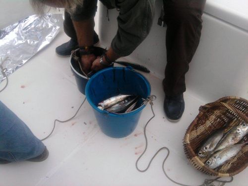 Pyatigorsk les magasins pour la pêche à