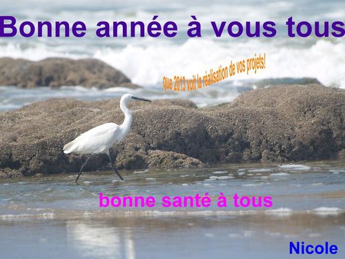 P1010005.JPG