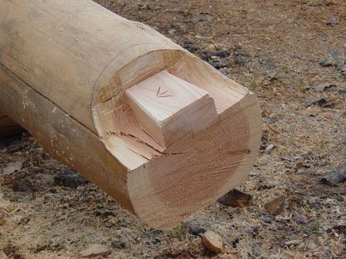 fuste d qa tenon