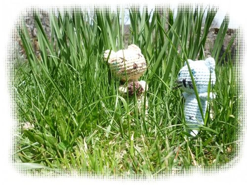 chats-amigurumi-005.jpg