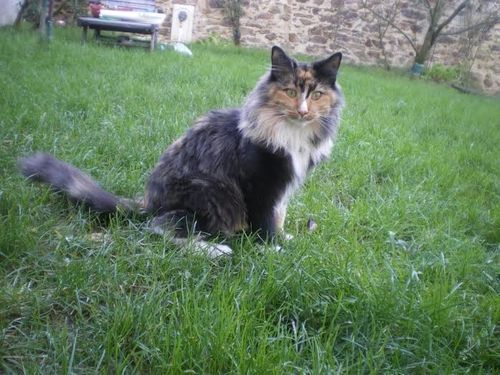 Faustine.jpg