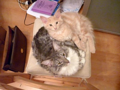 emir-et-eowyn0001-copie-1.JPG
