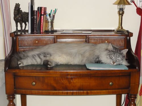Elendil-2014.JPG