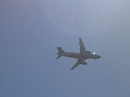 DSCN8503