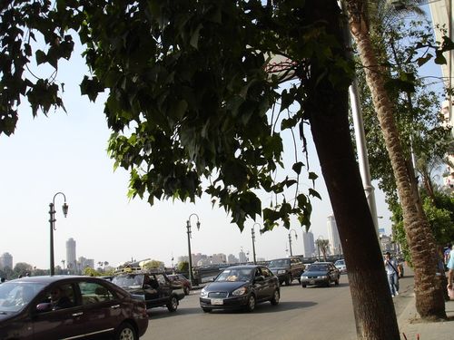 Corniche-el-Nil---Le-Caire.jpg