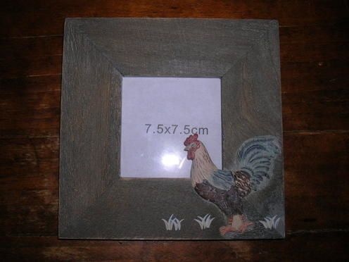 C 18 DSCN2275