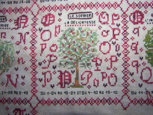 100_5831.JPG