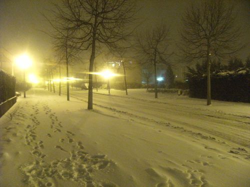 sal-bonne-annee-neige-008.JPG