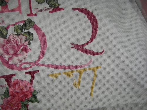 100_3488.JPG