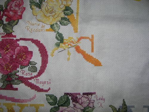 100_3681.JPG