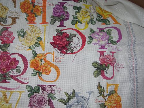 100_3777.JPG