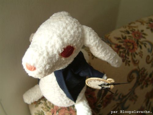 Lapin 02