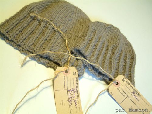 Duo bonnet