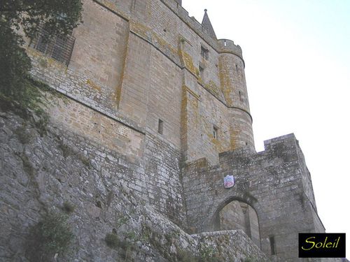3-copie-1.JPG