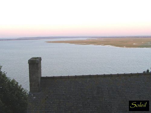 P8290330--Copier-.JPG