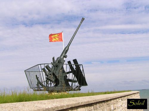 4-copie-1.JPG
