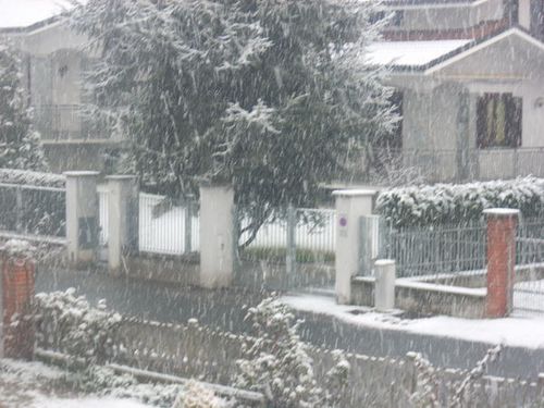 DSCN2738.jpg
