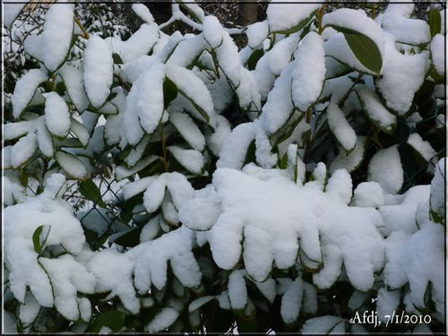 NeigeàR