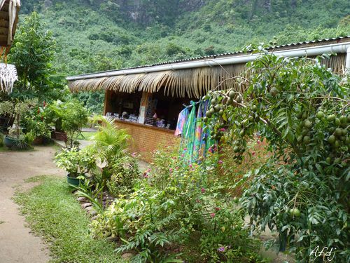 MOOREA-jardin.jpg